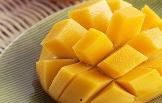 吃芒果完能吃哈密瓜吗,哈密瓜的甜蜜邂逅