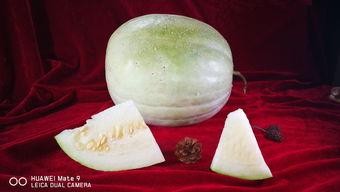 孕妇可以吃三白瓜,三白瓜助力母婴健康