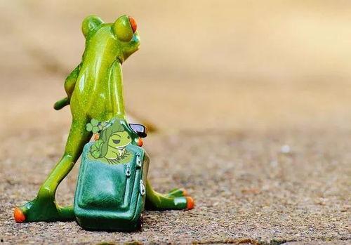 青蛙卖崽吃瓜,一场吃瓜引发的欢乐风波