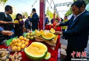 洛杉矶最新吃瓜新闻,揭秘娱乐圈最新重磅八卦事件