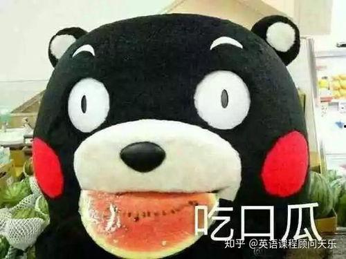 形容吃瓜的图片搞笑,一场吃瓜界的欢乐盛宴