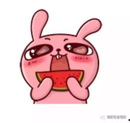 骚年吃瓜,揭秘娱乐圈那些不为人知的幕后故事