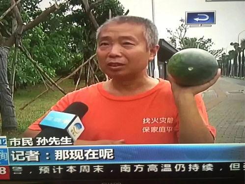 林州吃瓜热门事件,揭秘背后真相与网络舆论风暴