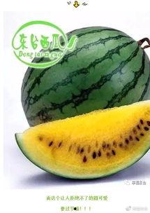 焕速度开吃瓜,揭秘网红美食背后的秘密