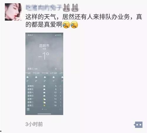 下雪了 吃瓜,冬日里的趣味时光