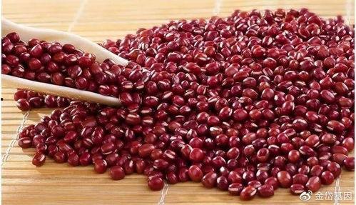 吃瓜的红小豆,一场味蕾与文化的碰撞