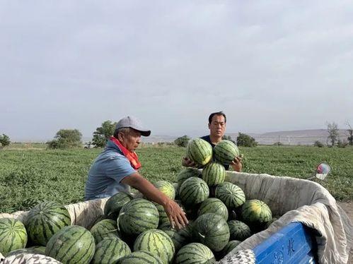 每天疯狂吃瓜,追踪娱乐圈疯狂吃瓜瞬间