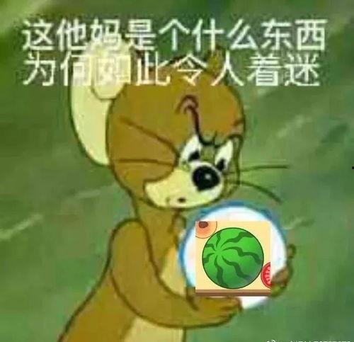吃瓜表情包大耳朵,趣味横生的网络文化现象