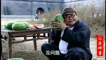 平乡吃瓜事件视频全集