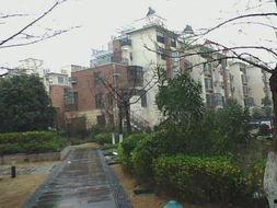 四方新村吃瓜,夏日吃瓜盛宴，邻里共享清凉时光